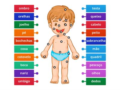 VOCABULARIO: partes do corpo