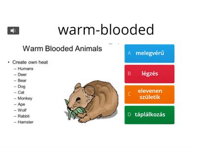 Nature and science for children 3/Mammals