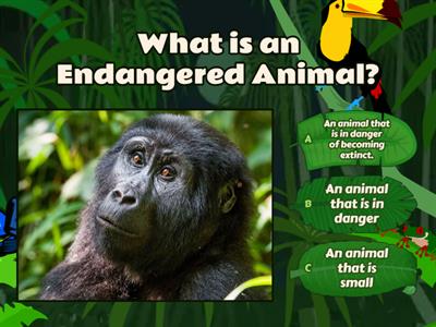 All About Endangered Animals