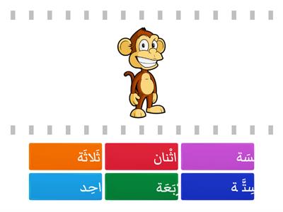 الأعداد 1-6