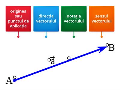 Caracteristicile unui vector