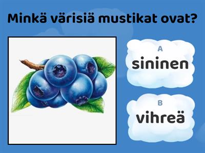 HLSFondo puheterapia värit sininen/vihreä