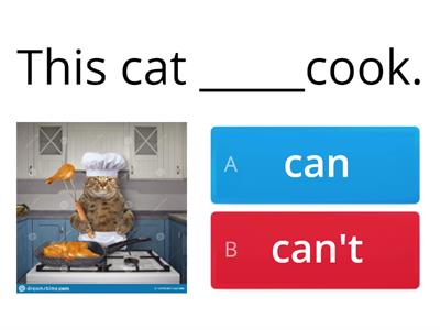 Can/can't