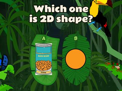 2D shapes vs 3D shapes (Mathematical skills)