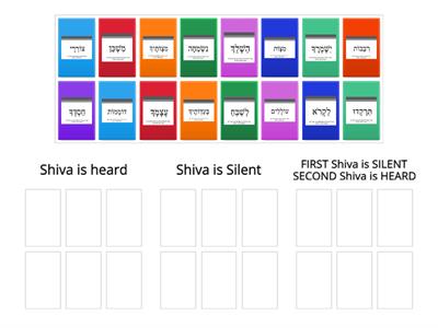 Shiva Sort from Fluency Flashcards Torah Umesorah Lakewood/ Rochel Gruner