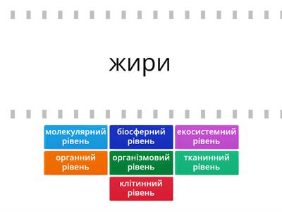  Рівні організації живого