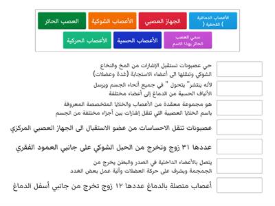 الجهاز العصبي الطرفي 