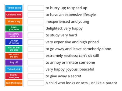 Idiom Match