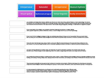 The Multiple Intelligences Matching