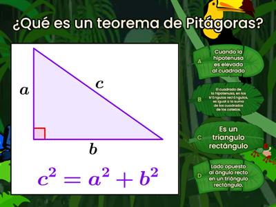 Teorema de pitagoras 