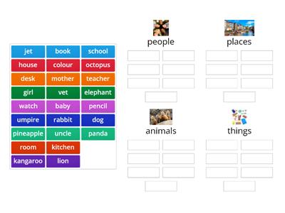 Nouns - 4 groups | People, places, animals, things
