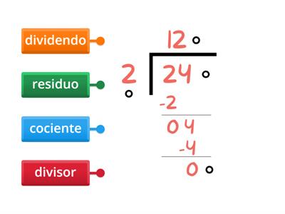 Partes de la División