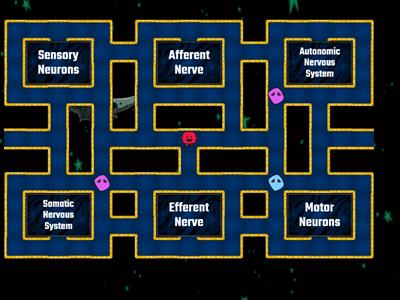 BRAIN TEASER (NERVOUS SYSTEM)