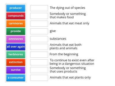 Food Chain