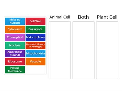 Animal vs. Plant Cell Sort