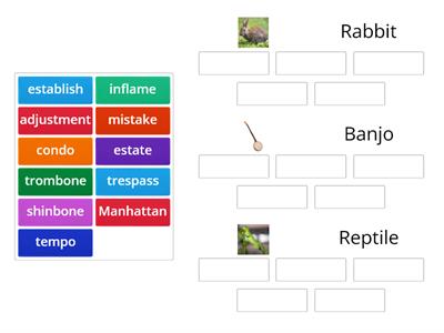 Rabbit, Banjo, Reptile Sort