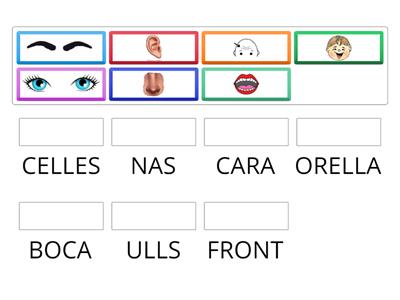 UNEIX LES PARTS DE LA CARA