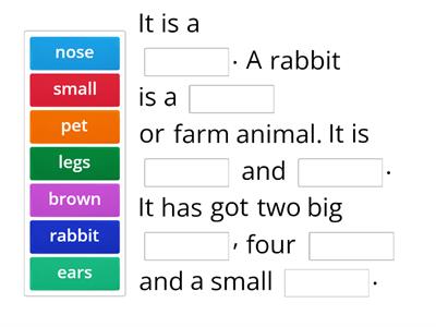 Animals (description)