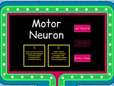 Nervous System