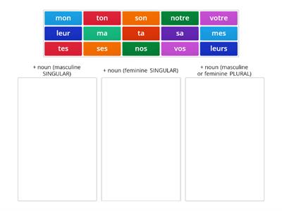possessive adjectives in French