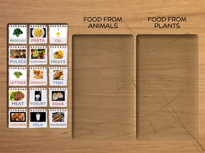 FOOD FROM ANIMALS AND PLANTS