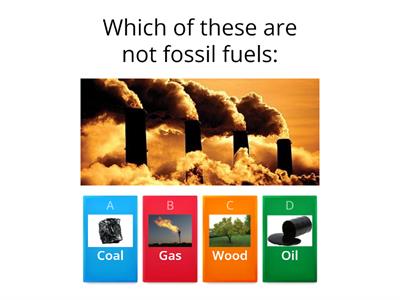 Renewable Resource Quiz