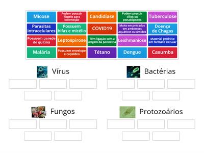 Vírus, bactérias, fungos e protozoários
