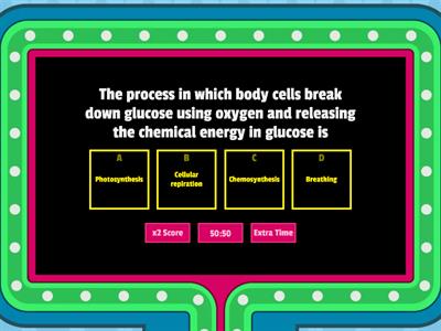 Grade 8 first term exam Revision