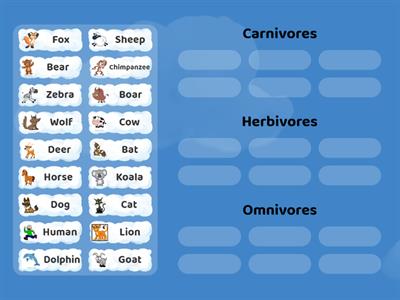 Carnivore, herbivore or omnivore?