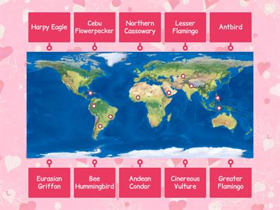 Where are the TOP 10 BIRD SPECIES?