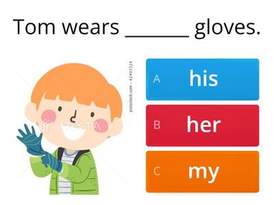 possessive adjectives