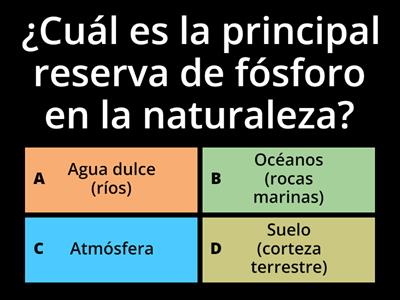 Ciclo de Fósforo