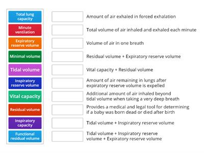 C05. Respira. Sys - (6) Volumes & Capacity