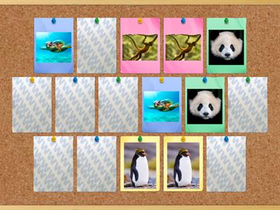 Panda Bear - Memory game