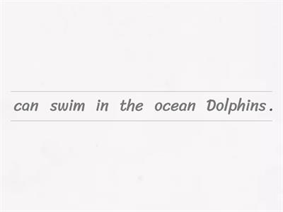 What can dolphins do?