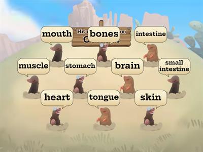 Digestive System