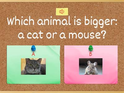 Which animal is bigger?