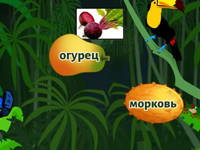 фрукты/овощи (Первые шаги 1, урок 5)