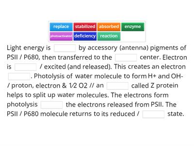 Discuss the non-cyclic photophosphorylation of light dependent reaction