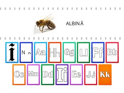 ALFABETUL (A-N)