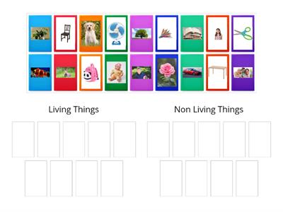 Sorting Living and Non Living things 