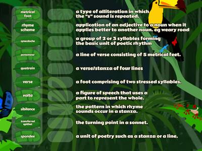 Poetry Terms 2