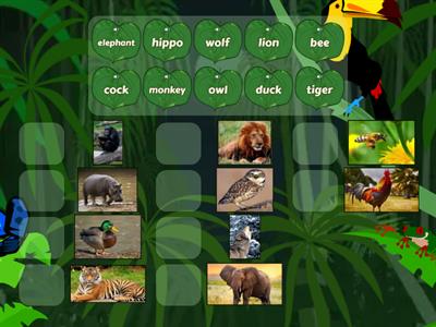 Match the animal with its voice