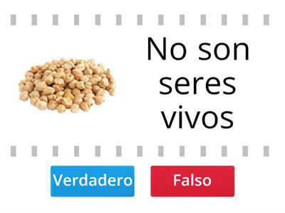 Seres vivos y no vivos