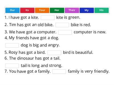 Possessive adjectives 