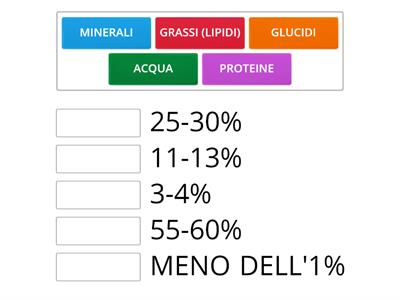 Percentuali nel corpo FEMMINILE ADULTO