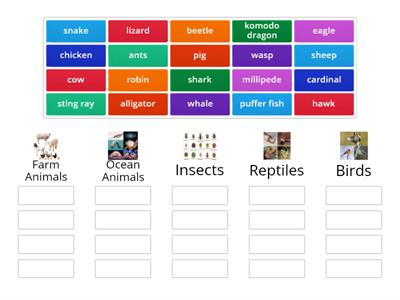 Categories - Animals