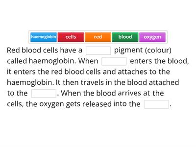 How do the blood cells carry out their function?