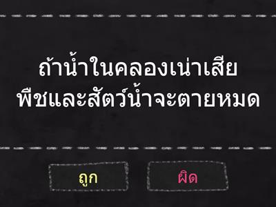 วิทย์ ป1 พืชและสัตว์ในท้องถิ่น ตอนที่5