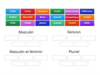 L'accord des adjectifs